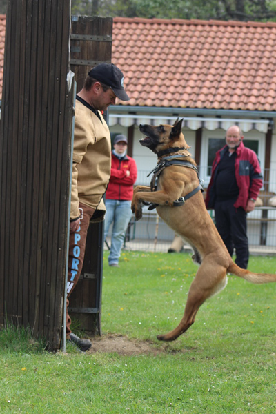 IMG_1244_bearbeitet-1