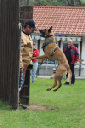 IMG_1227_bearbeitet-1