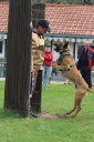 IMG_1239_bearbeitet-1